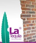 La Tequila Cocina Mexicana