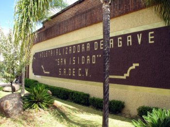 Industrializadora de Agave San Isidro